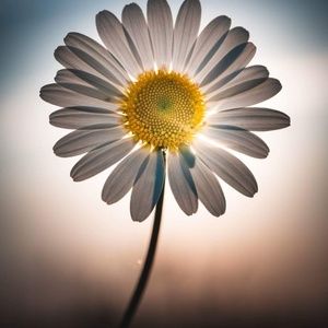 Meet your Posher, Rob